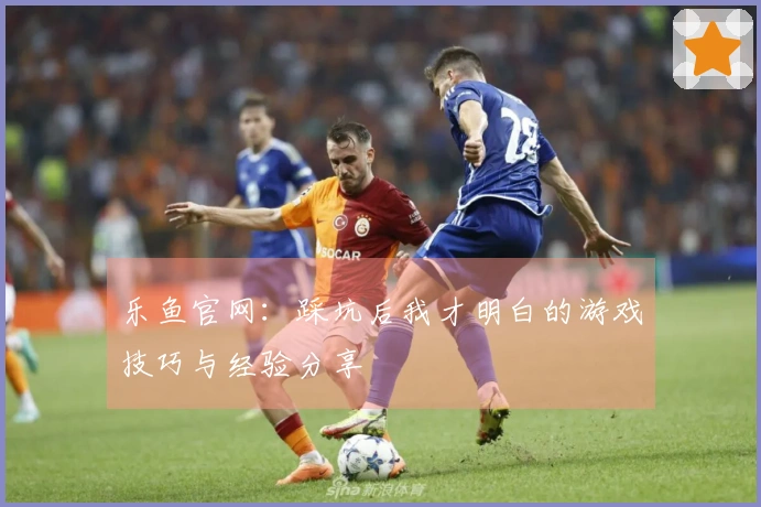 乐鱼官网：踩坑后我才明白的游戏技巧与经验分享