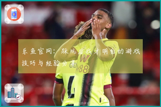 乐鱼官网：踩坑后我才明白的游戏技巧与经验分享