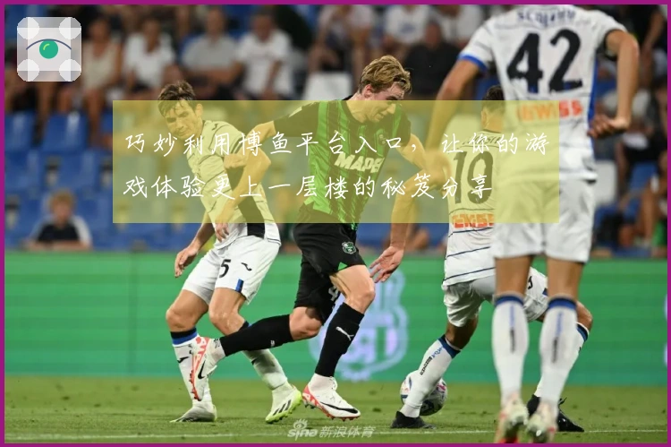 巧妙利用博鱼平台入口，让你的游戏体验更上一层楼的秘笈分享